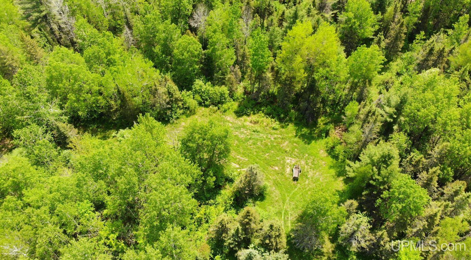 Bruce Crossing, MI 49912,TBD 1 Larson Road