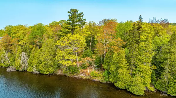 TBD 4a and 4b Frimodig Road, Eagle Harbor, MI 49950