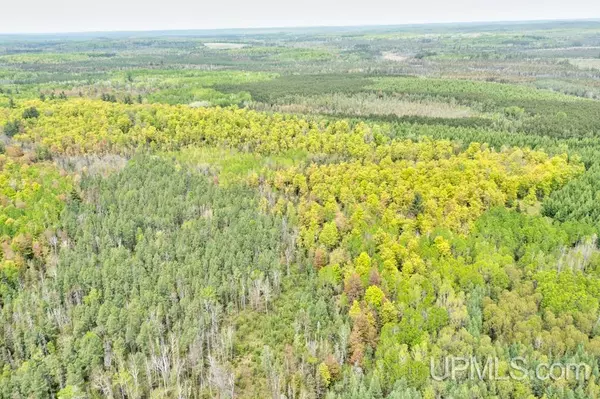 Perronville, MI 49873,40A TBD OFF Sand (N4098) Road