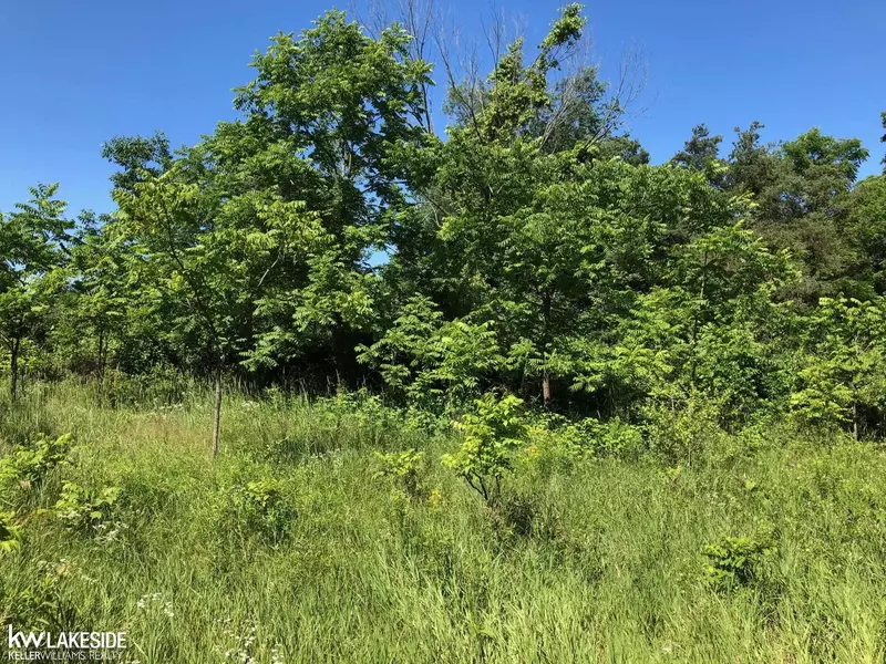 Vacant 31 Mile Rd Road, Washington, MI 48095