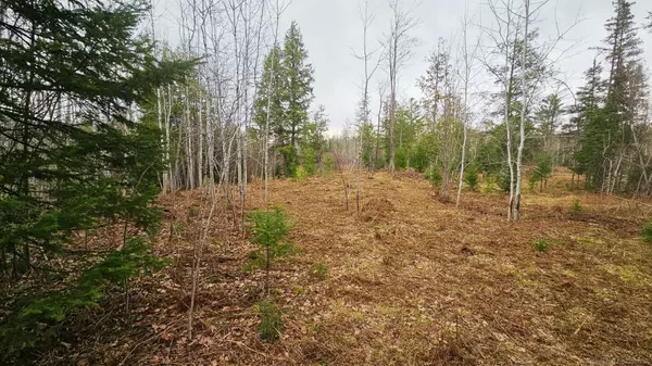 Trout Creek, MI 49967,853 Calderwood Lot D Road