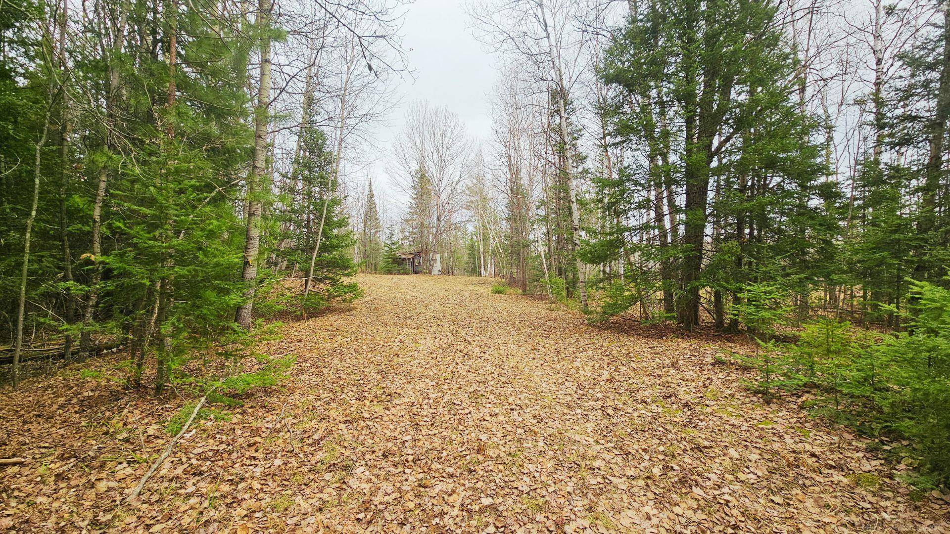 853 Calderwood Lot D Road, Trout Creek, MI 49967