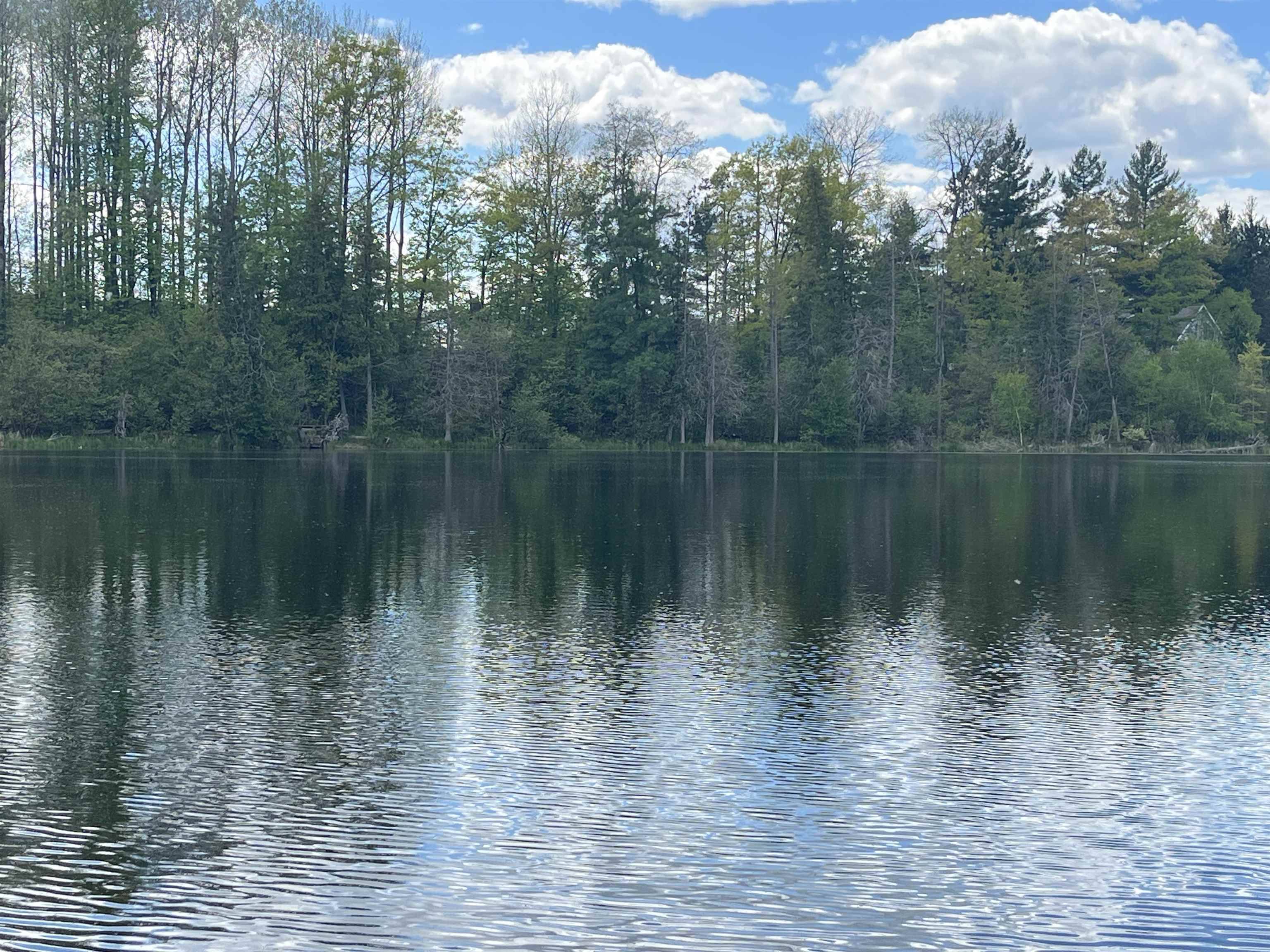 V/L 8046 Wallace Drive, Lake, MI 48632