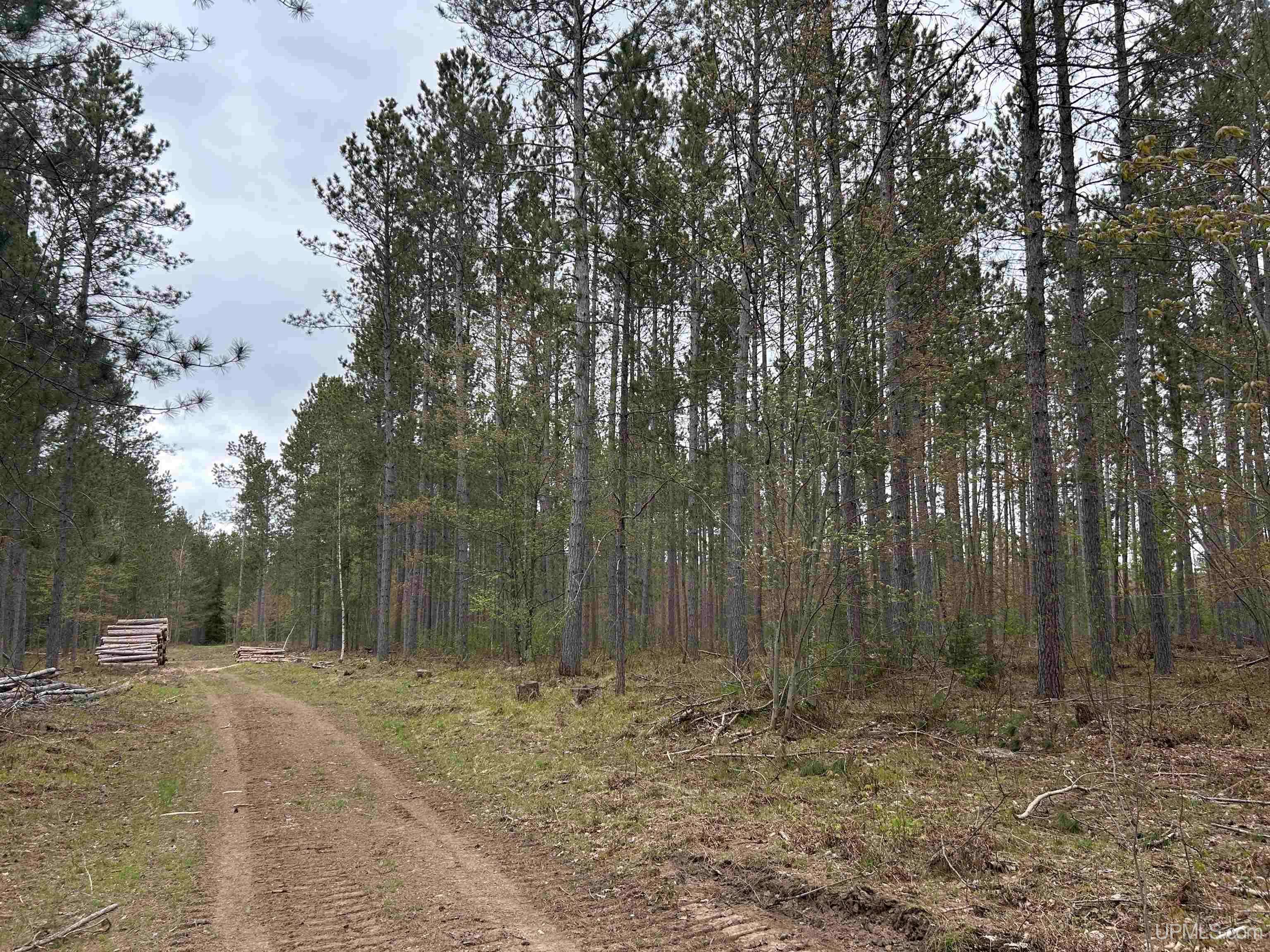 TBD Parcel 3 Paint River Road, Crystal Falls, MI 49920