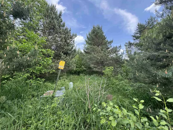 Ironwood, MI 49938,Lot 13 Summit View Drive