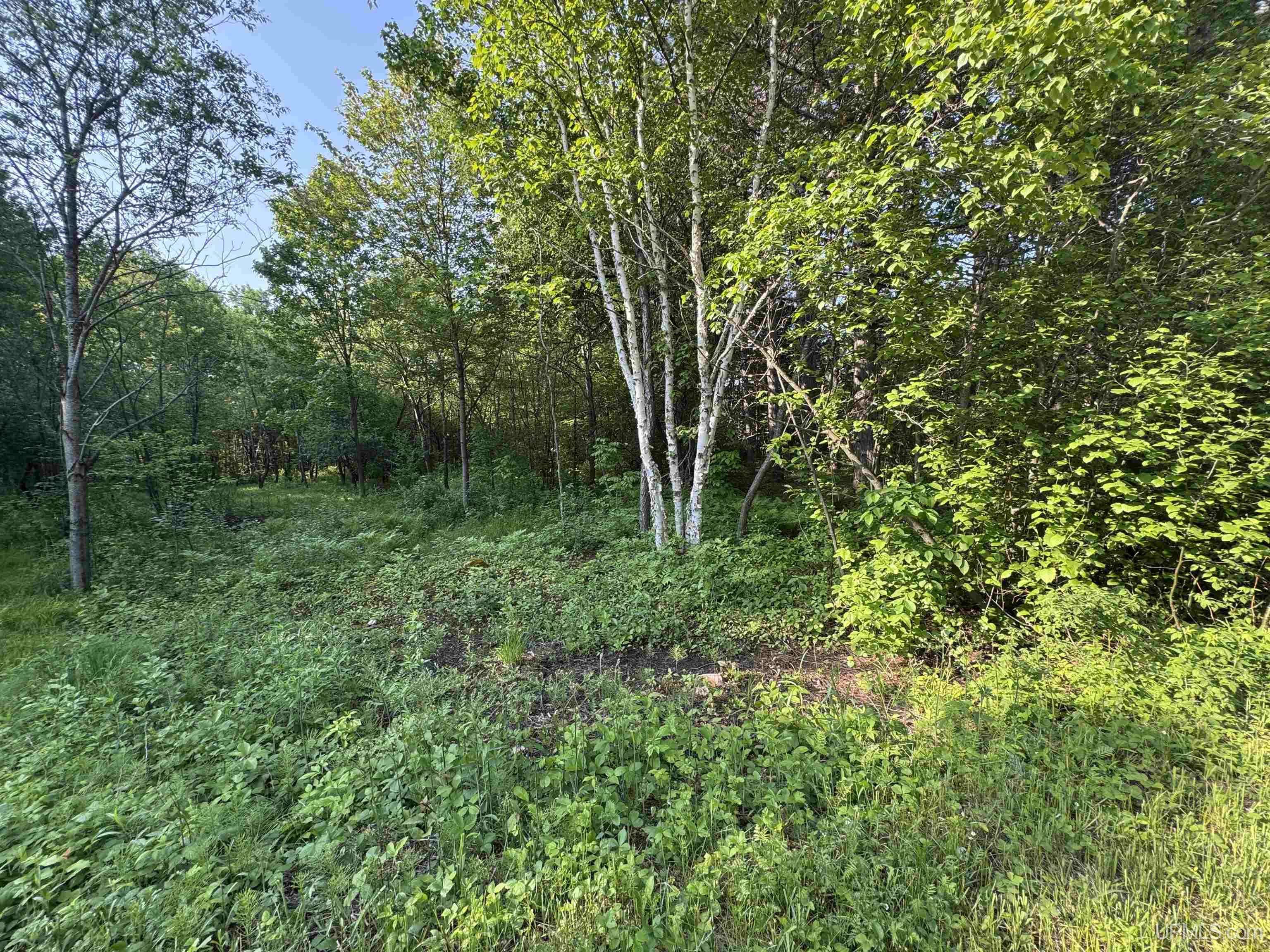 Lot 14 Summit View Drive, Ironwood, MI 49938