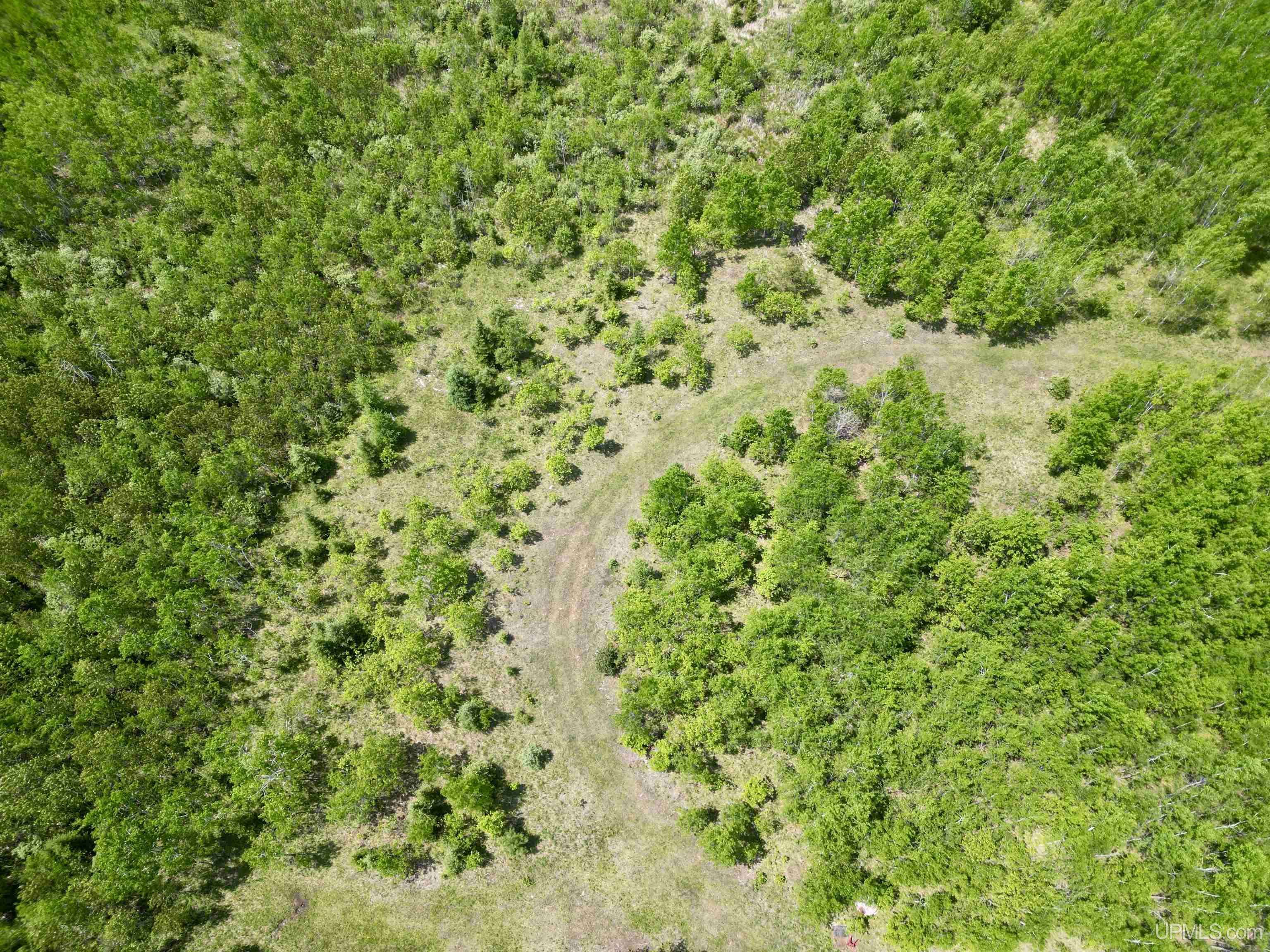 Perronville, MI 49807,TBD CR 400 Road