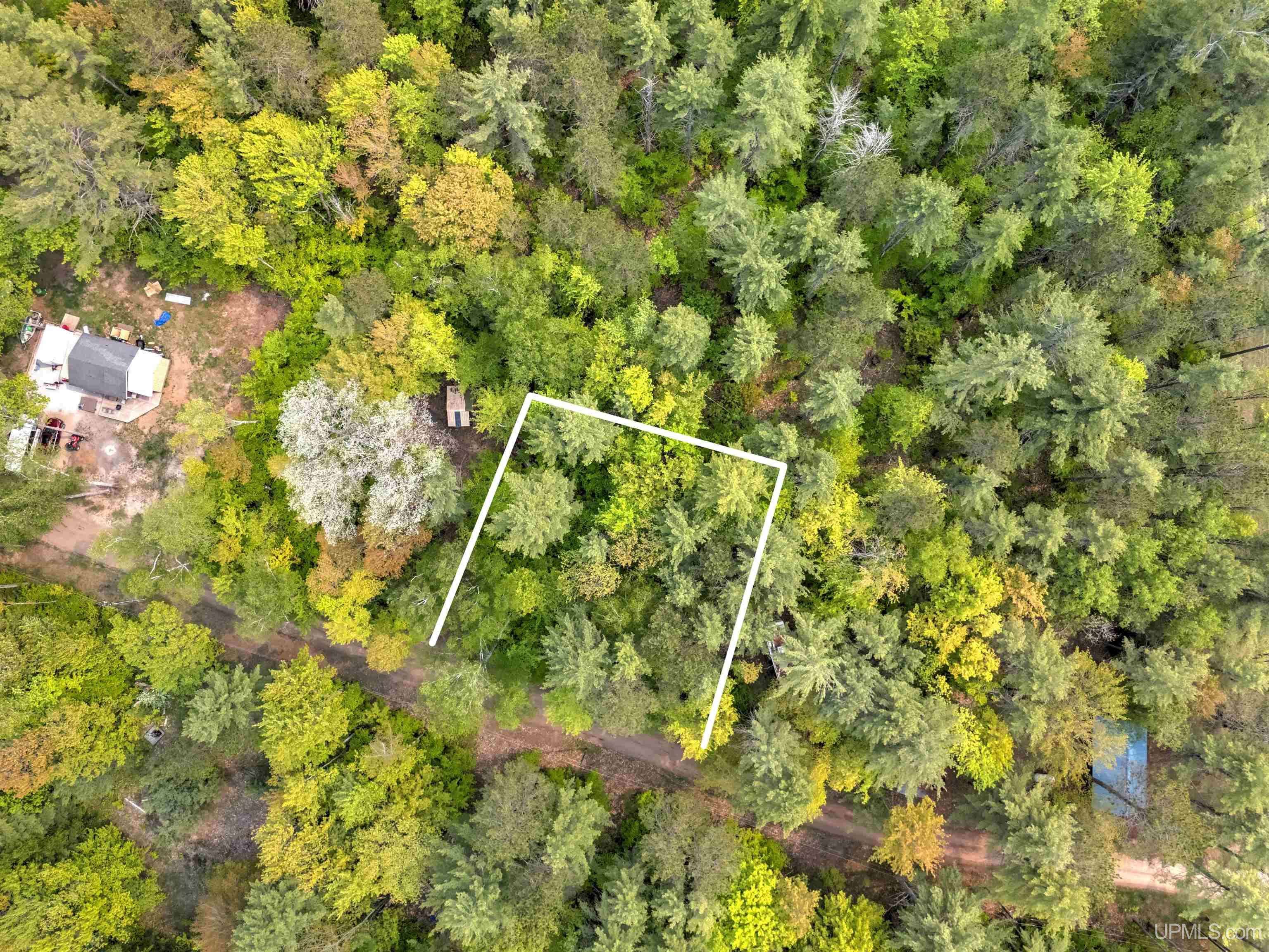Manistique, MI 49854,TBD W Lilly Lake Road