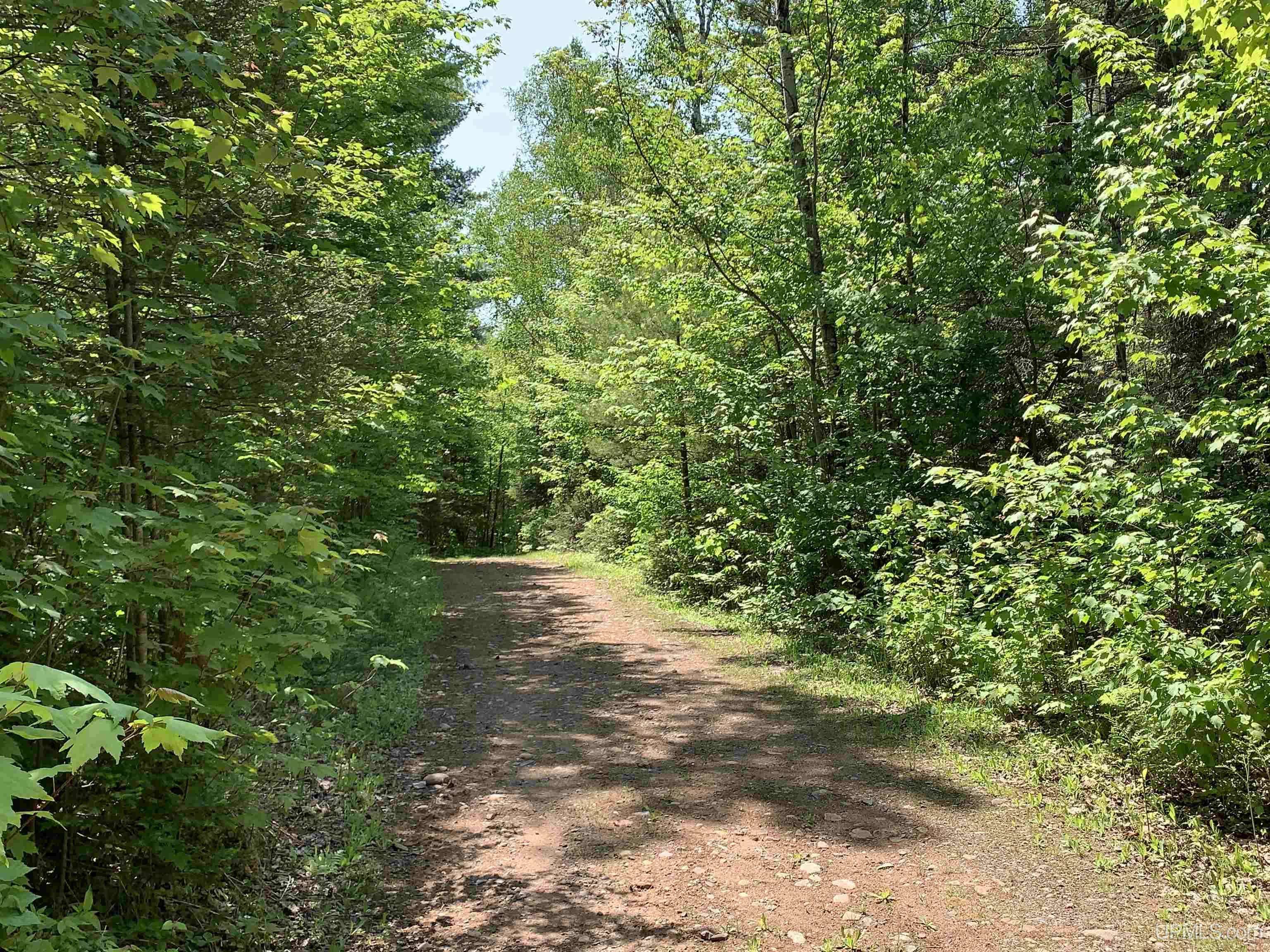 tbd N River Drive, Gwinn, MI 49841