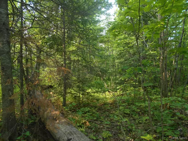 Hancock, MI 49931,TBD Oikarinen Road