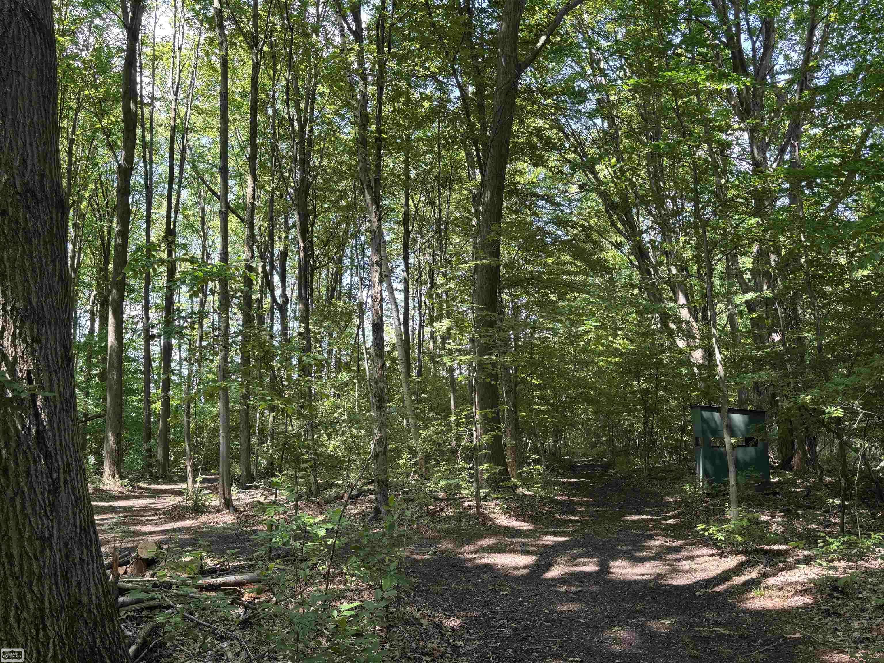Yale, MI 48032,7366 Holly Road