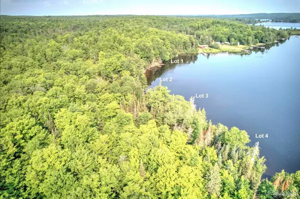 Michigamme, MI 49861,Parcel #2 Eagle Drive