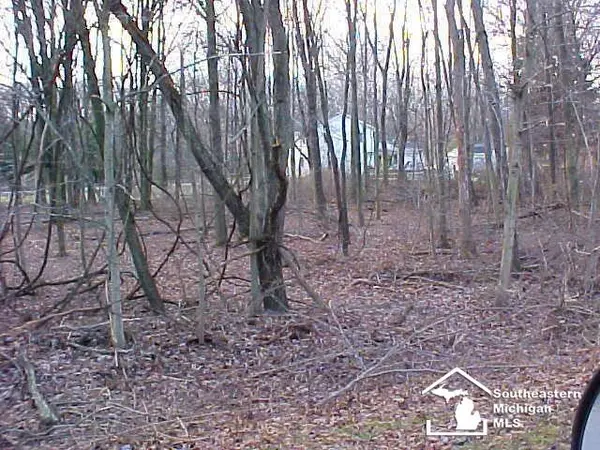 Ottawa Lake, MI 49267,Lot 18/19 Onway Drive