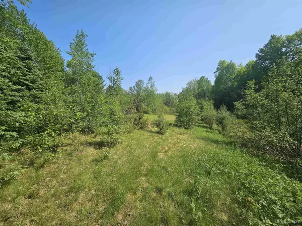 Iron River, MI 49935,17.25 AC Division Street