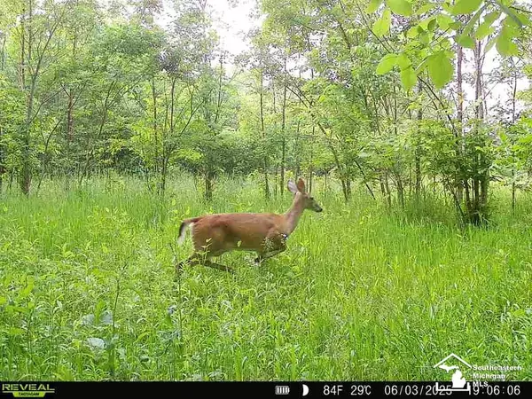 Milan, MI 48160,5901 Milan Oakville Road