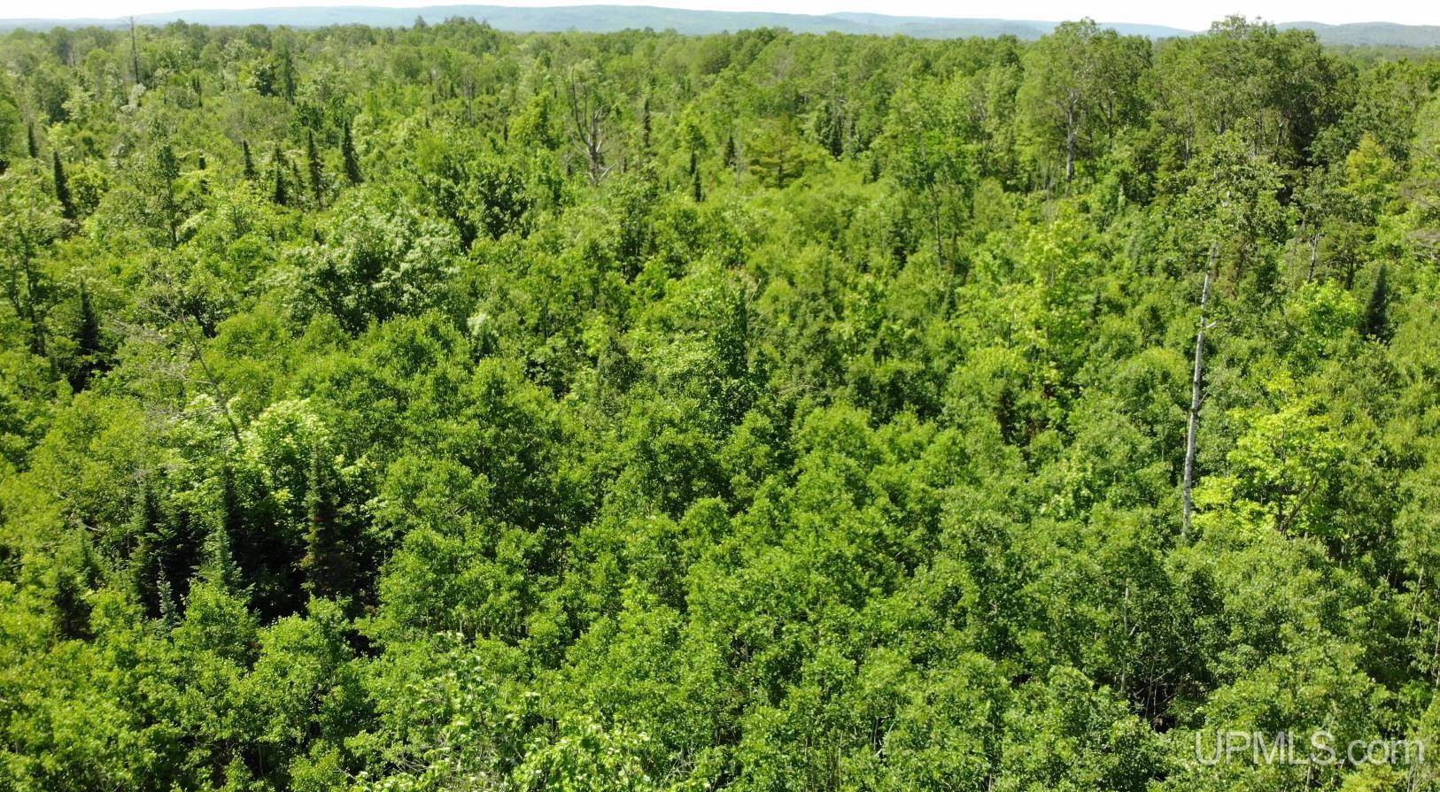TBD 1 Norwich Road, Ewen, MI 49925