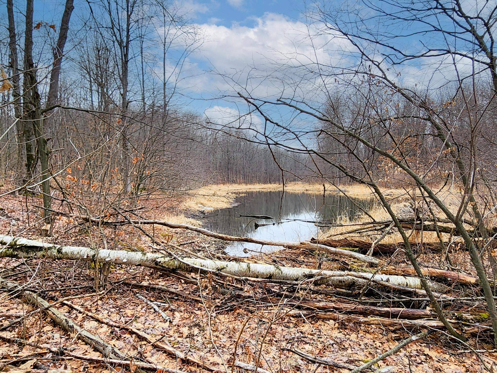 Harrison, MI 48625,25 +/- Acres Mostetler Road