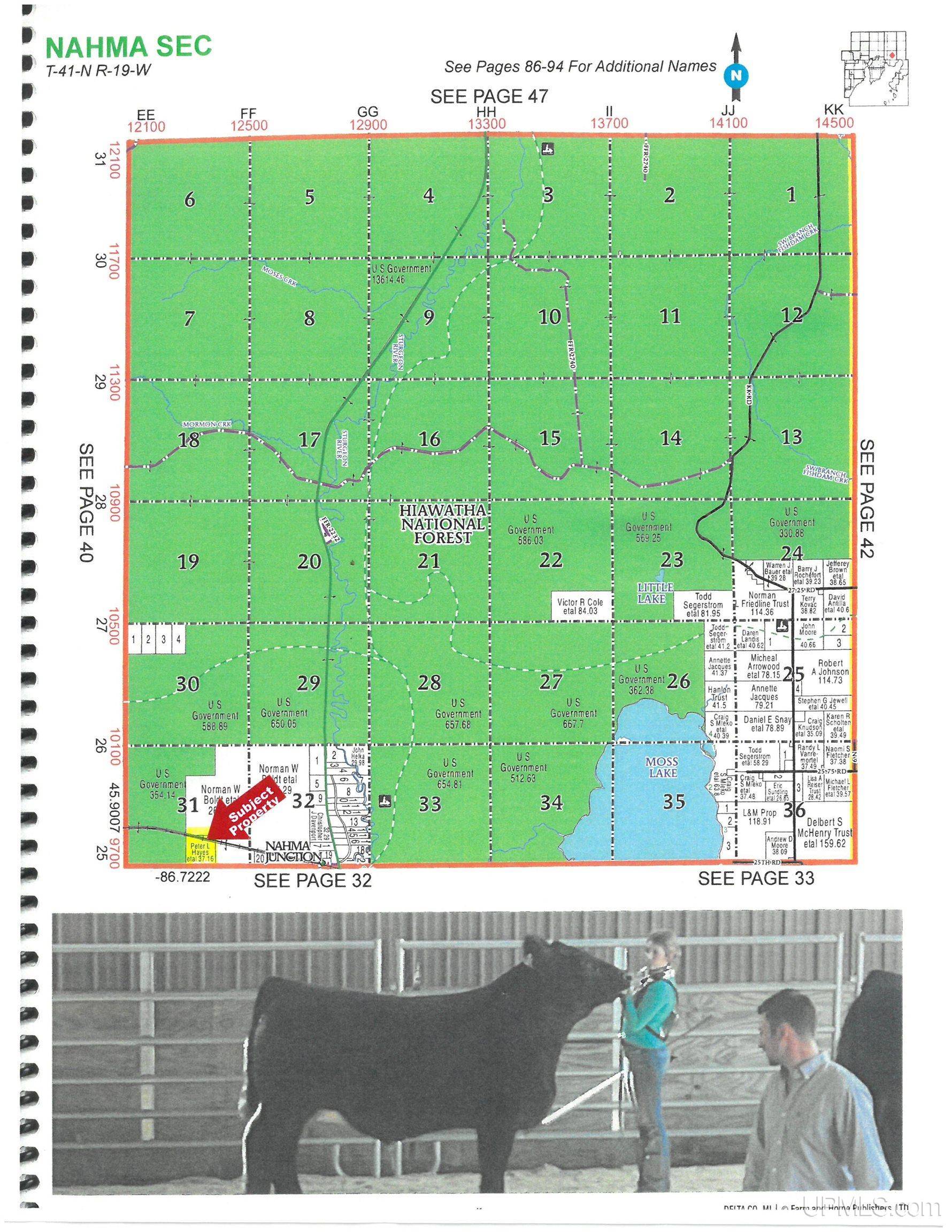 Rapid River, MI 49878,TBD Off EE.25 Road