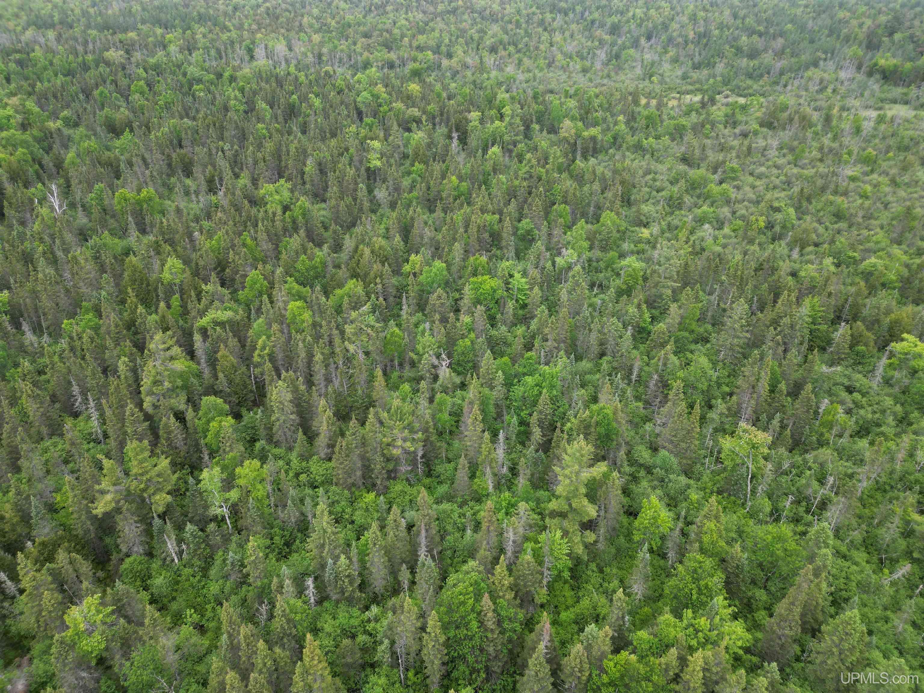 Rapid River, MI 49878,TBD Off EE.25 Road
