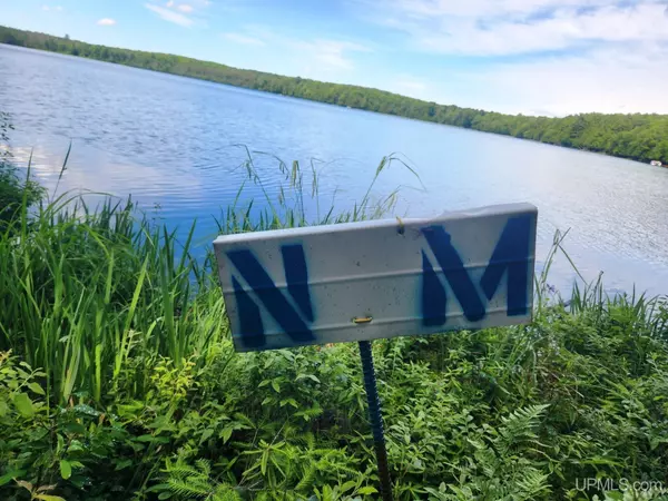 Bates, MI 49935,TBD Wildwood Lake Drive