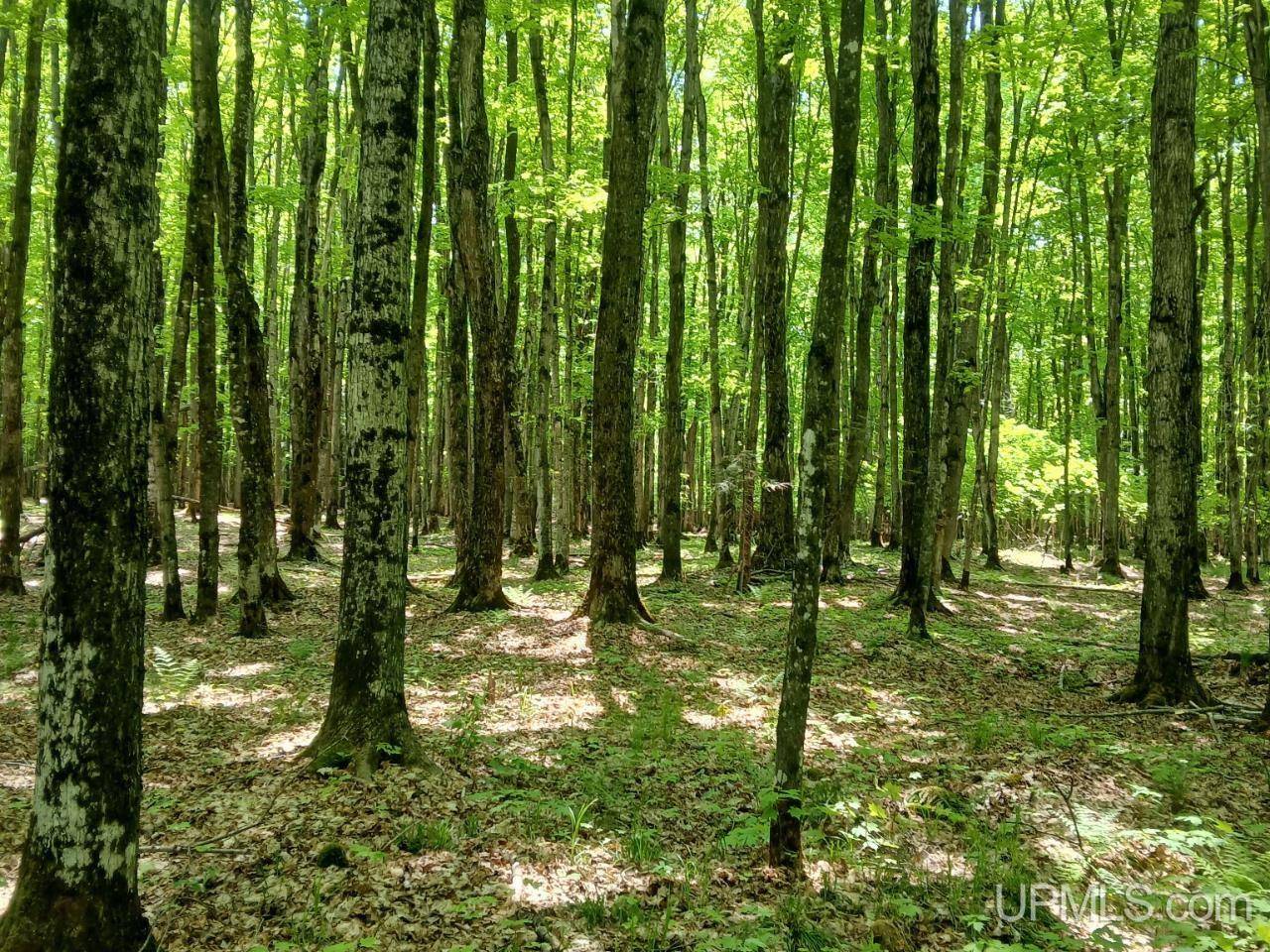 Big Bay, MI 49808,48 Acres CR KK (Huron Mountain Club Rd) Road