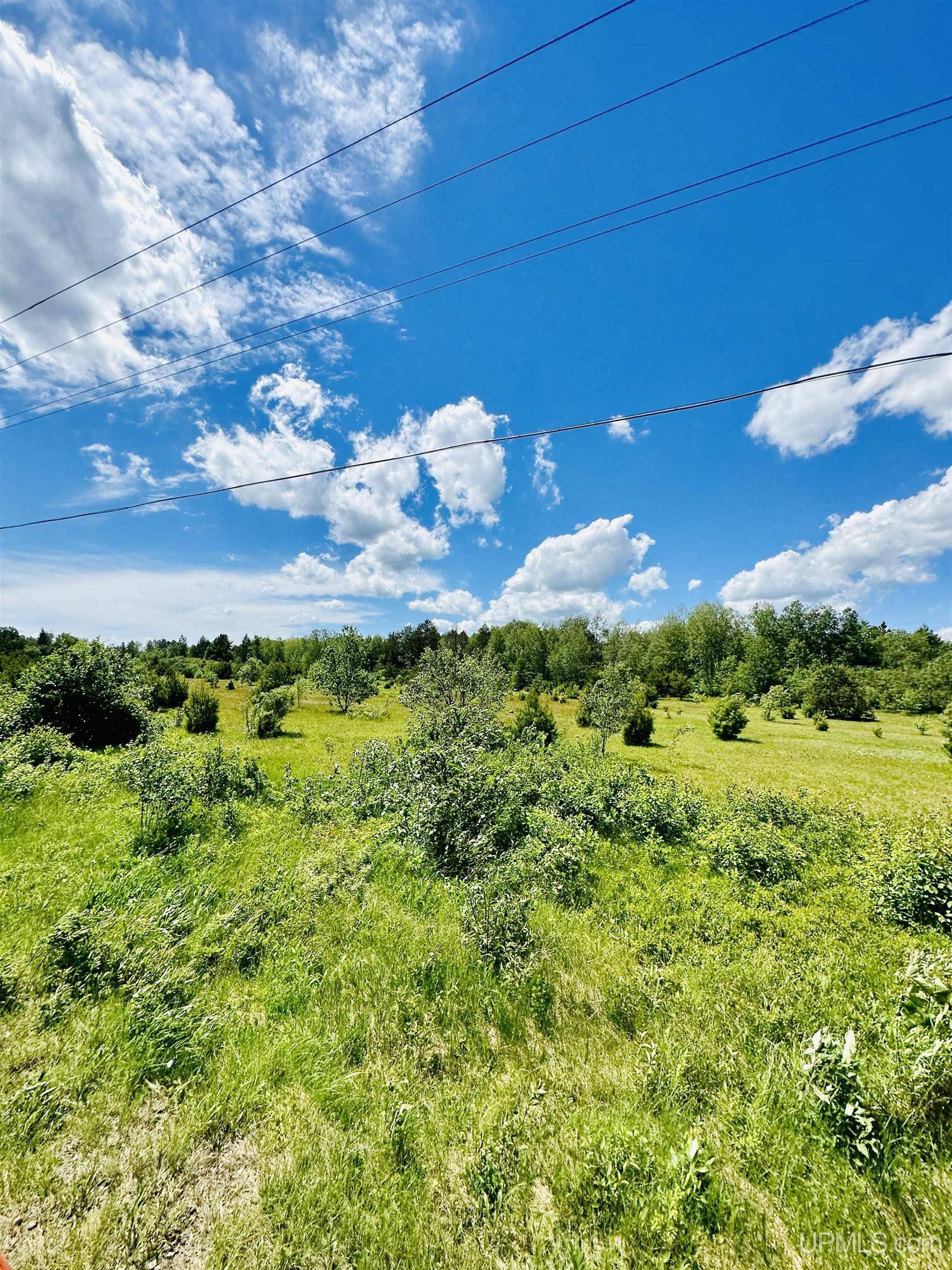 TBD Hawks Drive, Republic, MI 49879