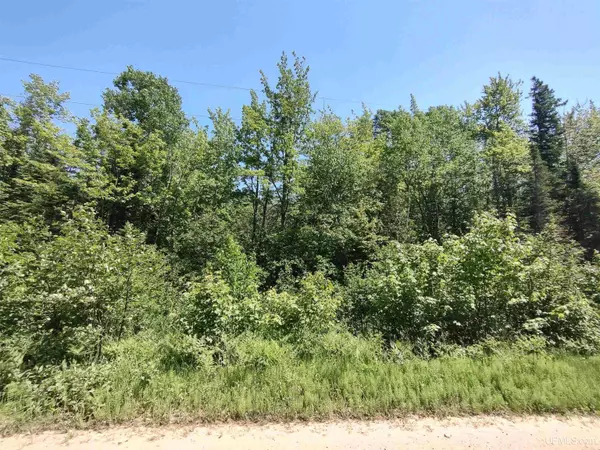 Au Train, MI 49806,8930 Sand Lake Road