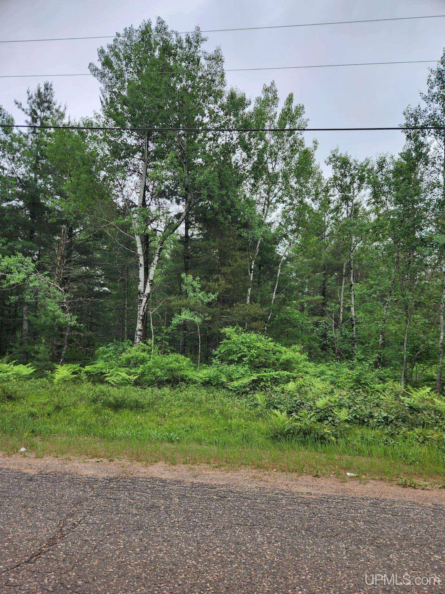 775 E Bass Lake Road, Gwinn, MI 49841