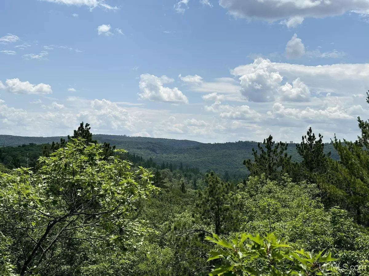 Marquette, MI 49855,on Bushy Cr Truck Trail Road