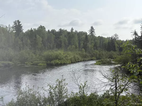 Michigamme, MI 49861,Parcel B Peshekee Grade Road