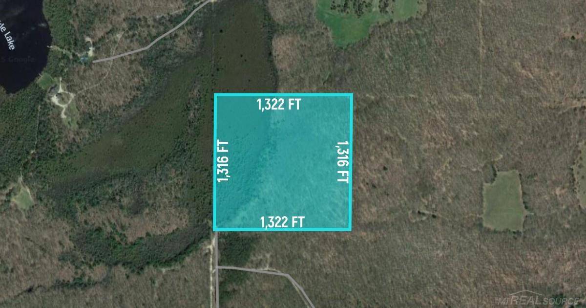 0 SW Good Road, Fife Lake, MI 49633