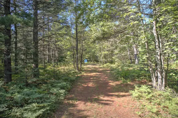 Lake Linden, MI 49945,TBD Rice Lake Road
