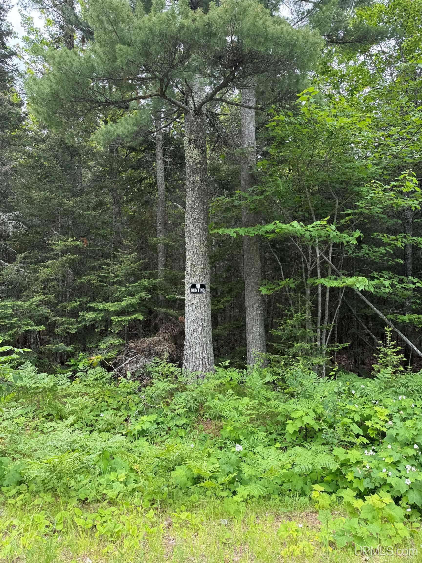 Lot  27 N Elisa Creek Drive, Mohawk, MI 49950