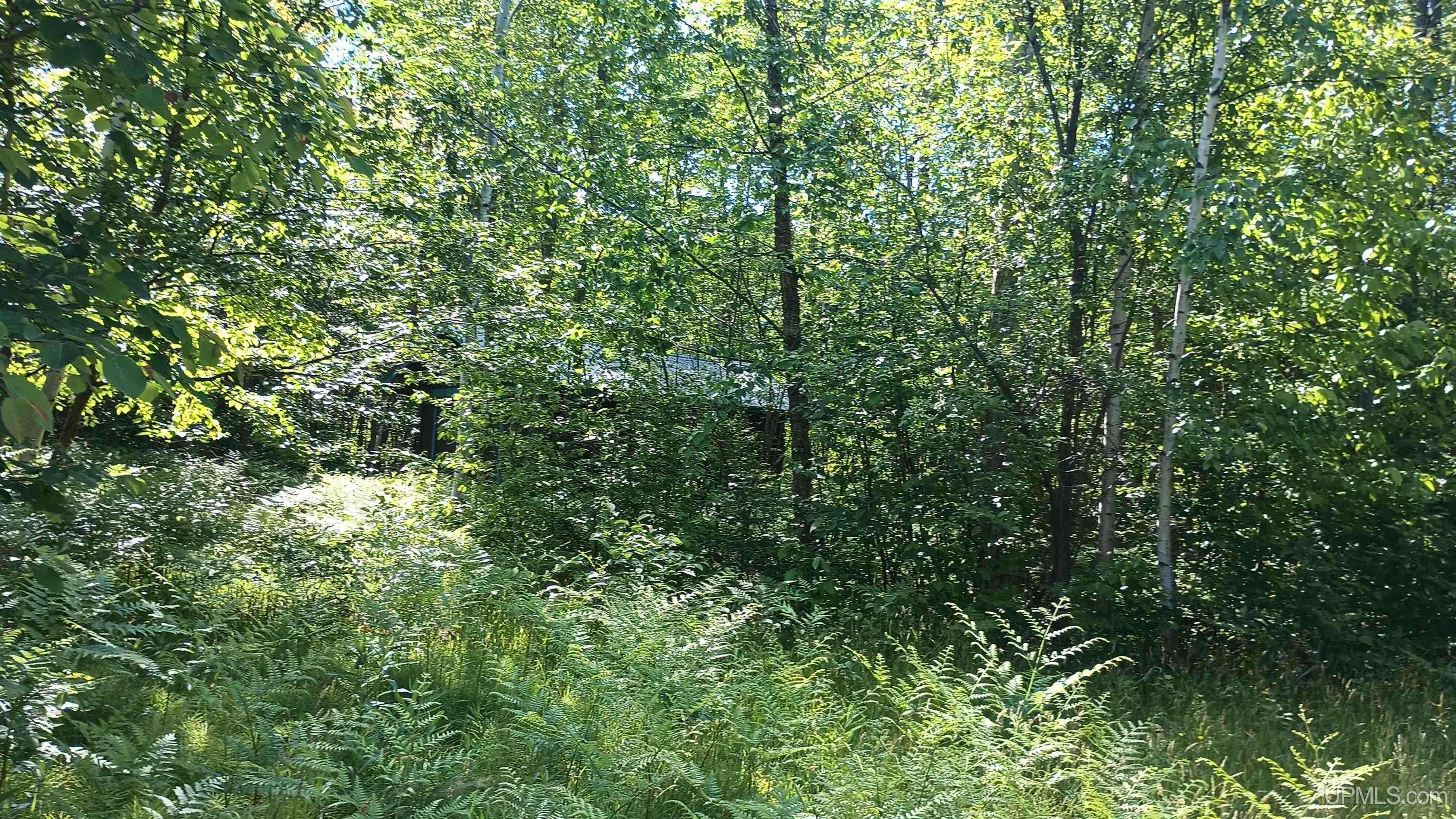 Ontonagon, MI 49953,25702 M-64 Highway