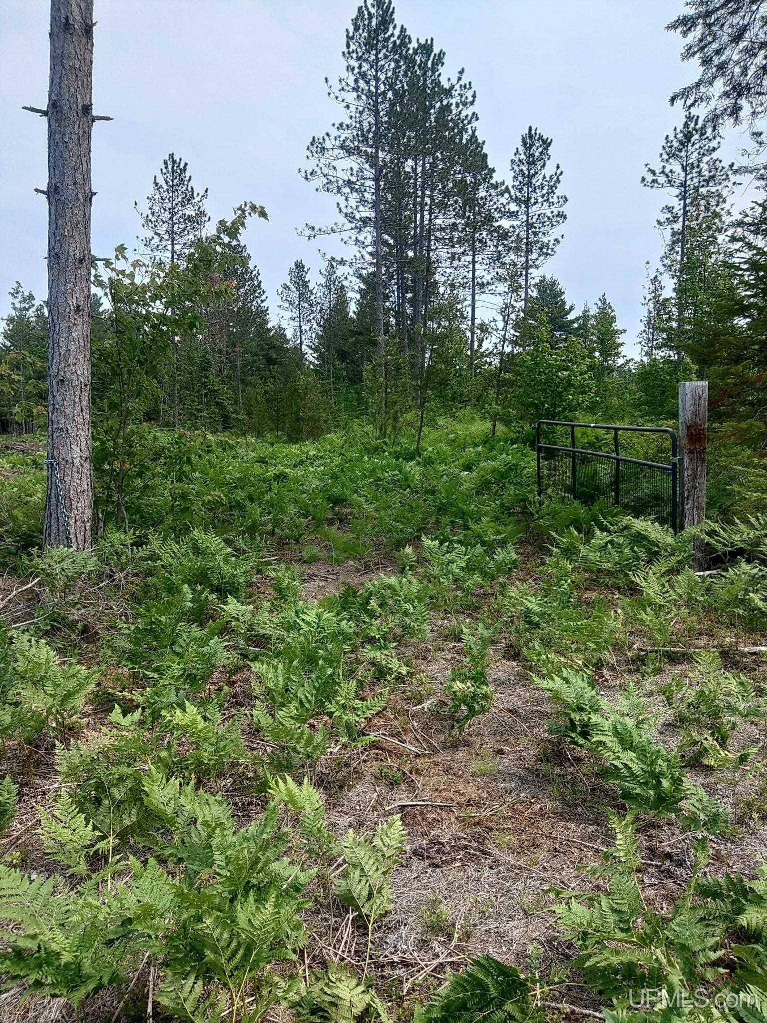 TBD Buckhaven Trail, Newberry, MI 49868