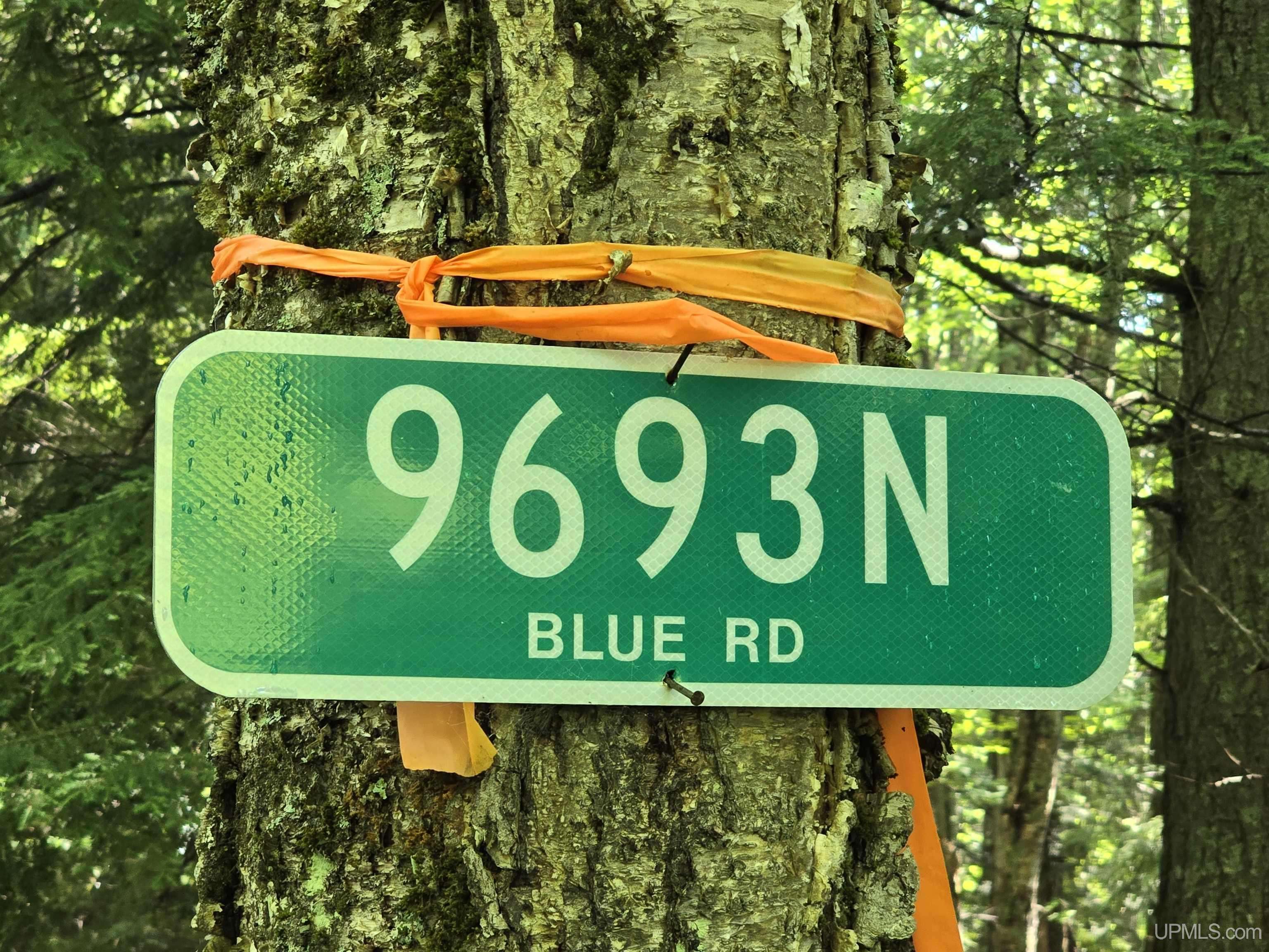 9693N Blue Road, Nisula, MI 49952