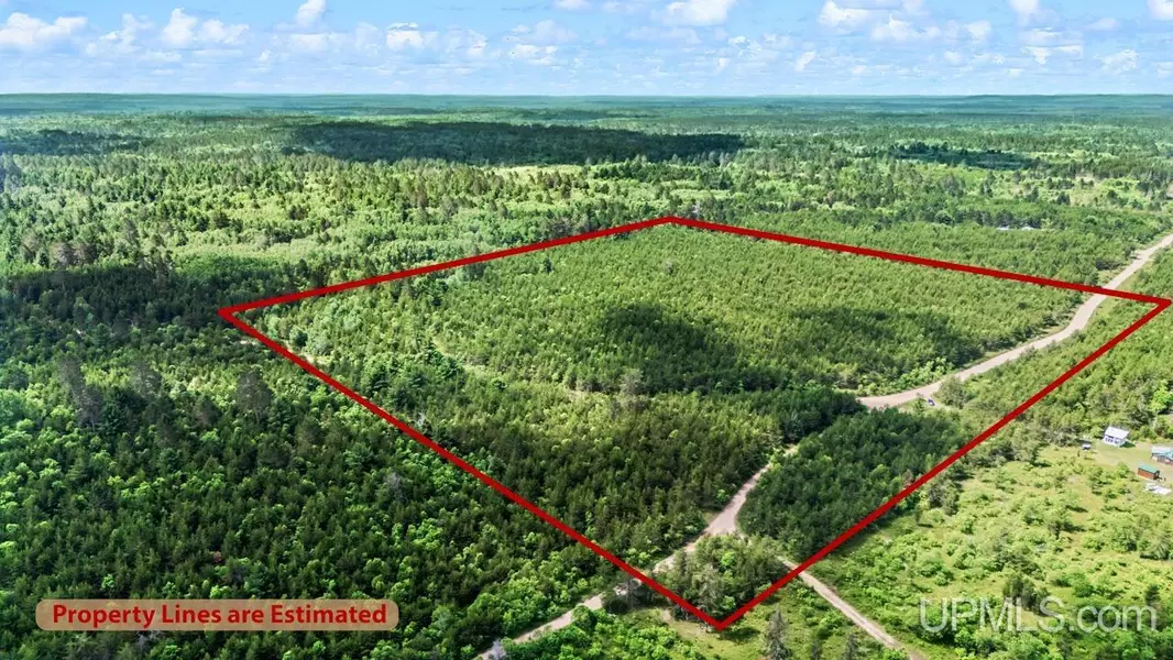 TBD Bryan Creek Road, Ishpeming, MI 49849