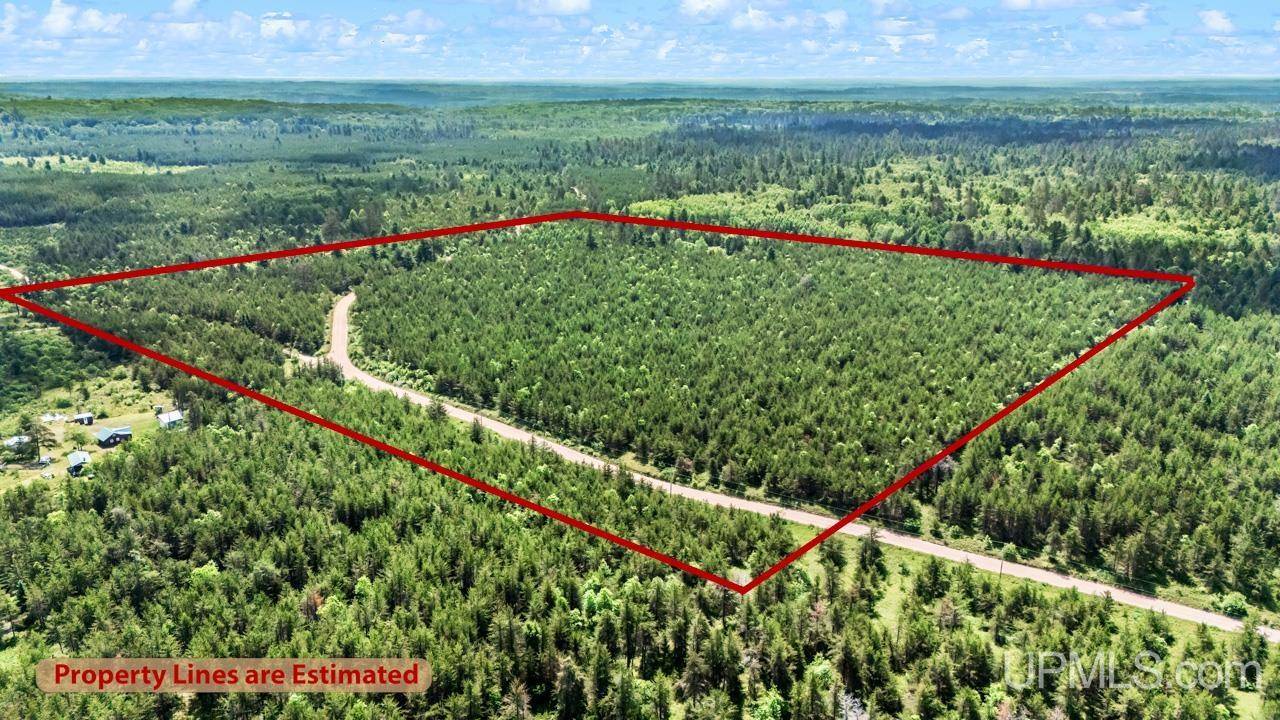 Ishpeming, MI 49849,TBD Bryan Creek Road