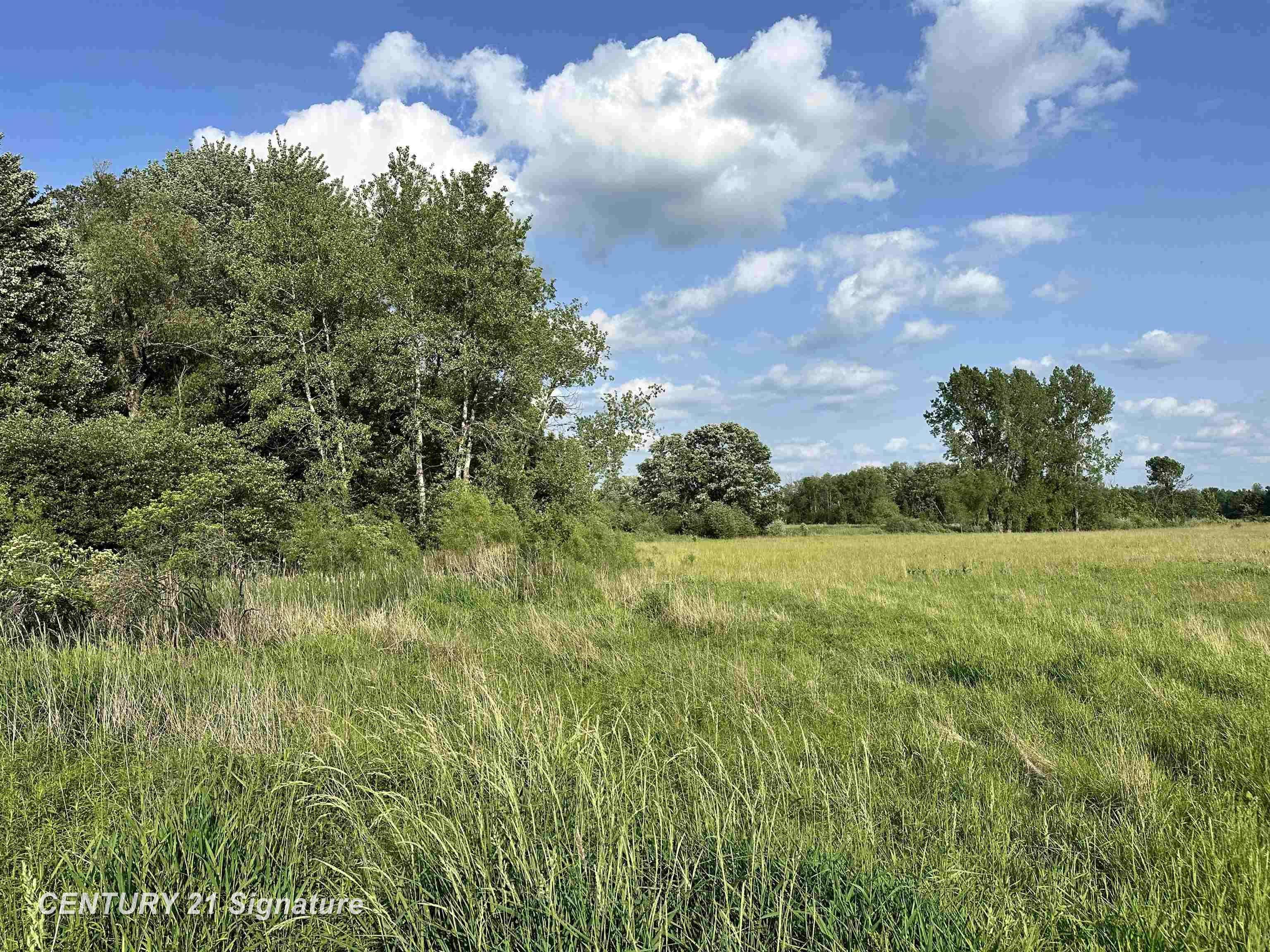 Beaverton, MI 48612,60 Estey Road