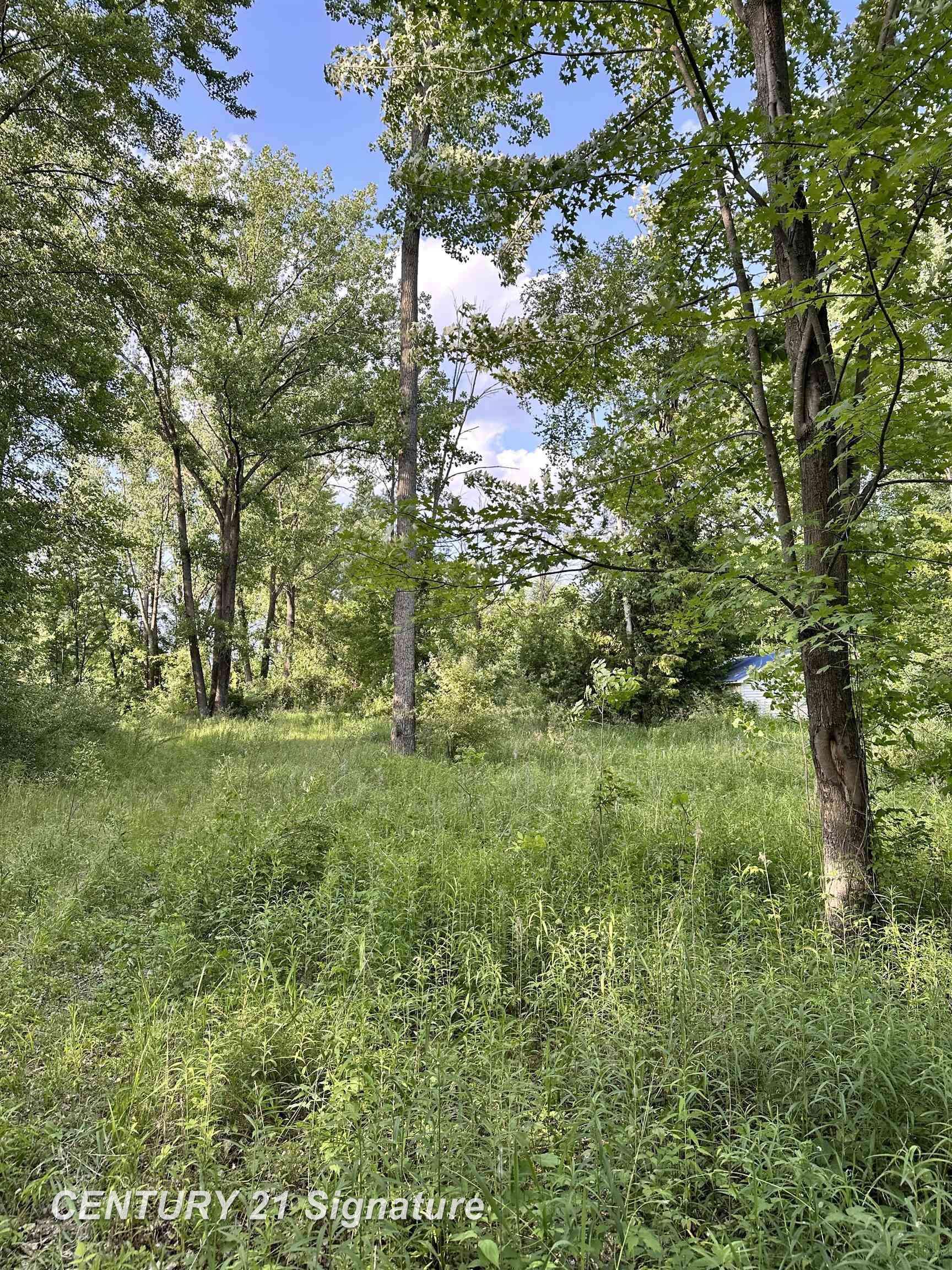 4020 Wieman Road, Beaverton, MI 48612