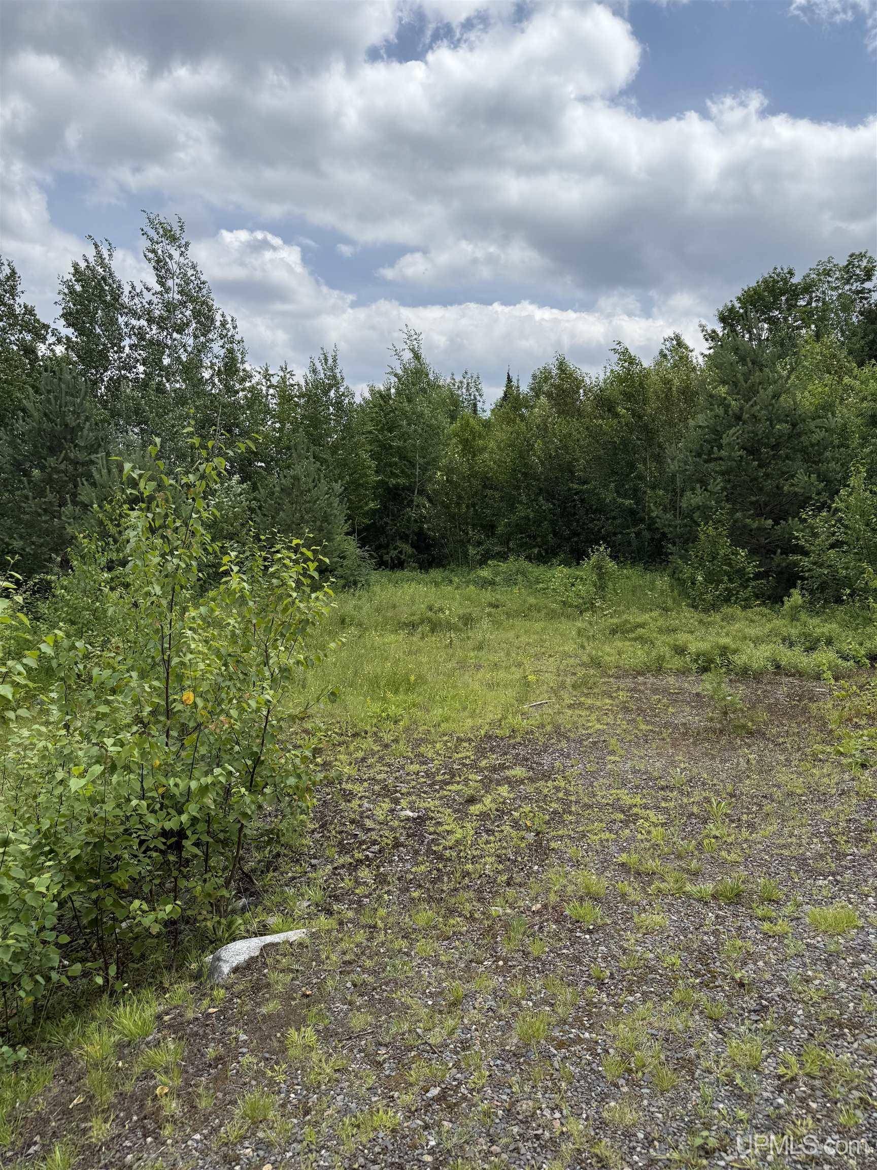 Michigamme, MI 49861,TBD S Brook Road