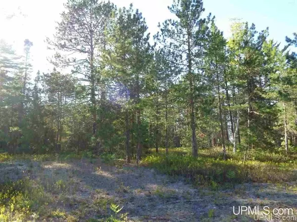51734 Rice Lake Road, Lake Linden, MI 49945