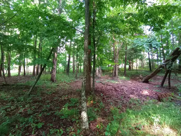 Gladwin, MI 48624,Lot 47 Linksview Way