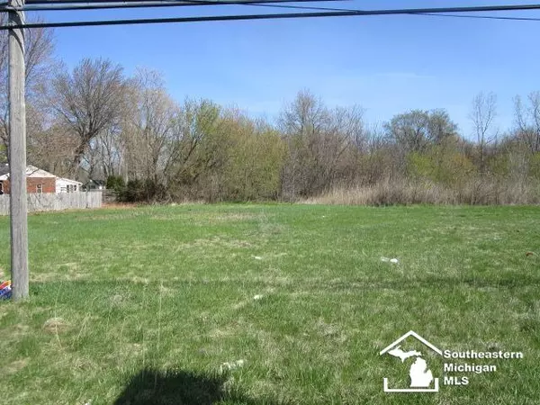 Monroe, MI 48161,S Custer Lot C Road
