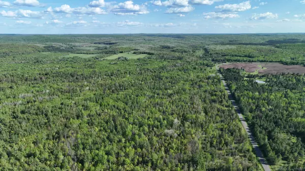 853 Calderwood Lot B Road, Trout Creek, MI 49967