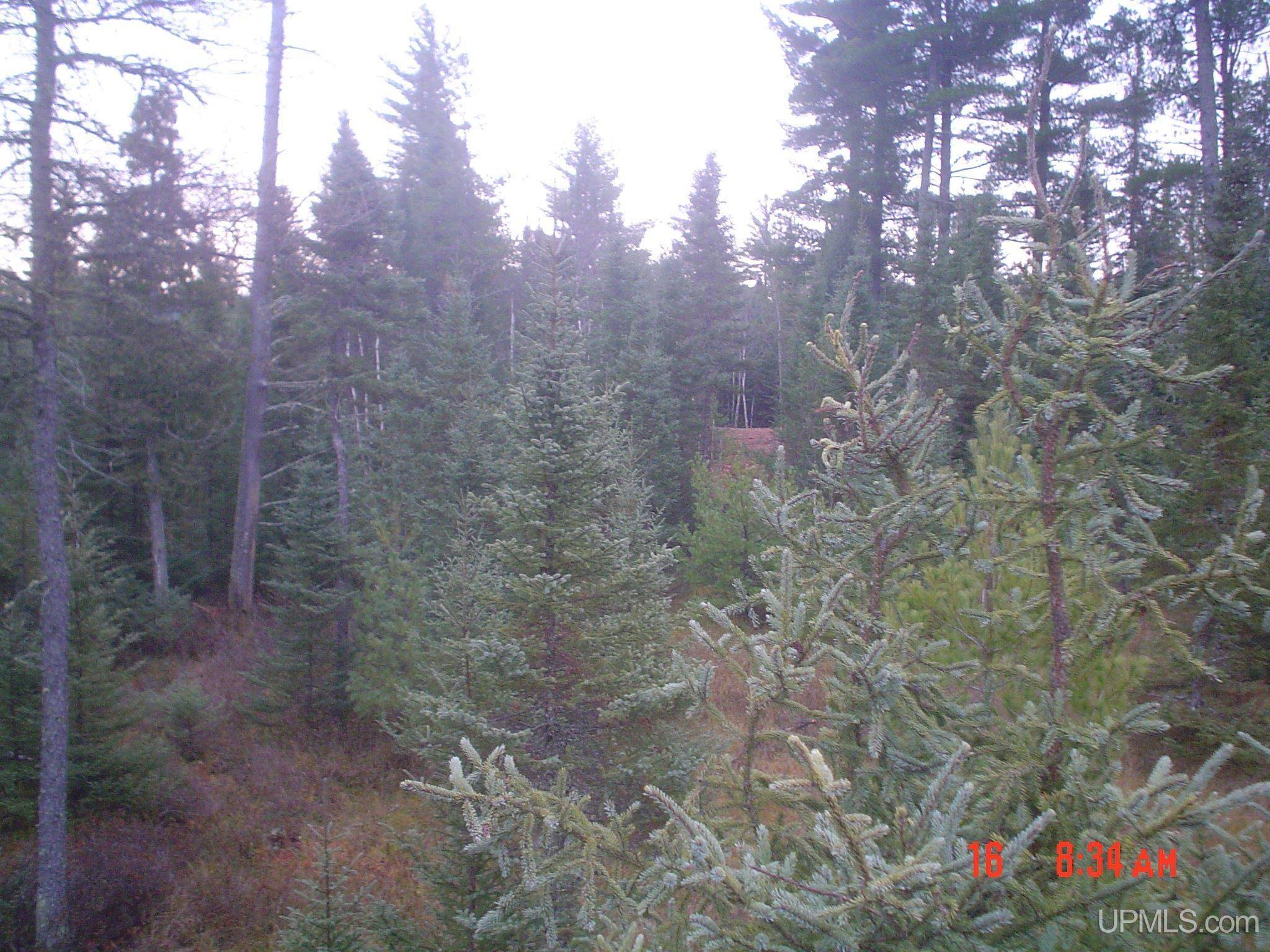 Newberry, MI 49868,9040 Bone Lake Route