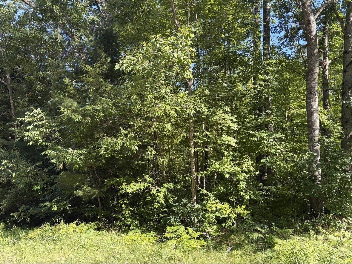 Lot 27 Azalea Lane, Harrison, MI 48625