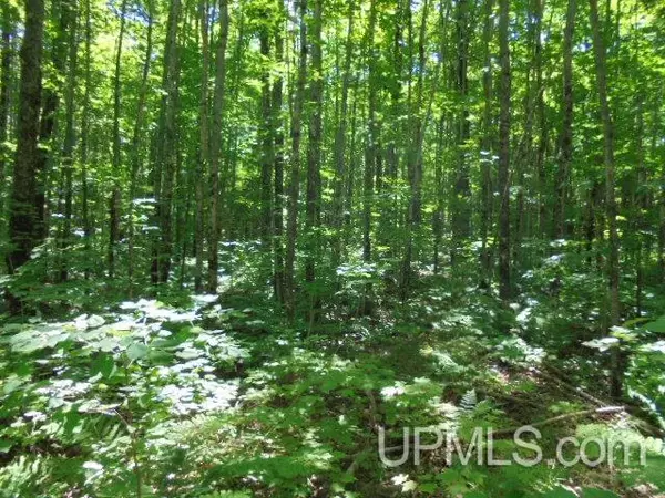 Bergland, MI 49910,TBD E SHORE Road