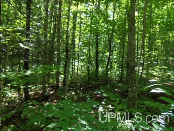 Bergland, MI 49910,TBD E SHORE Road