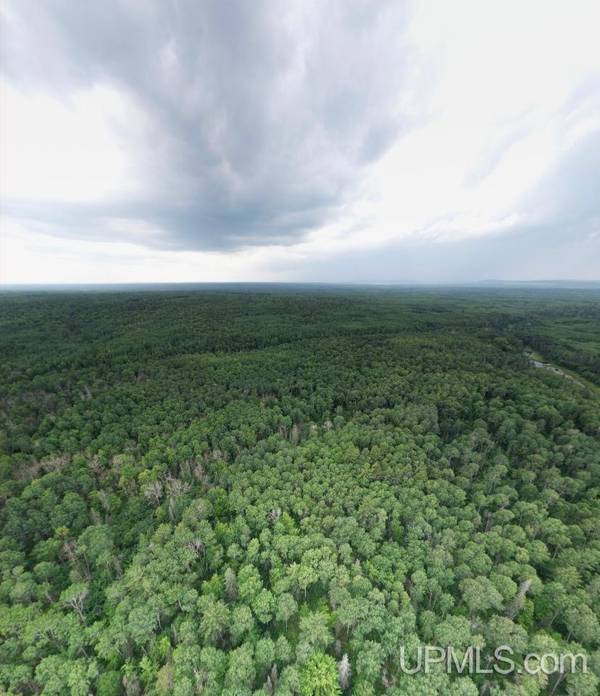 Vacant Land Bruce Crossing Land, Ontonagon, MI 49912